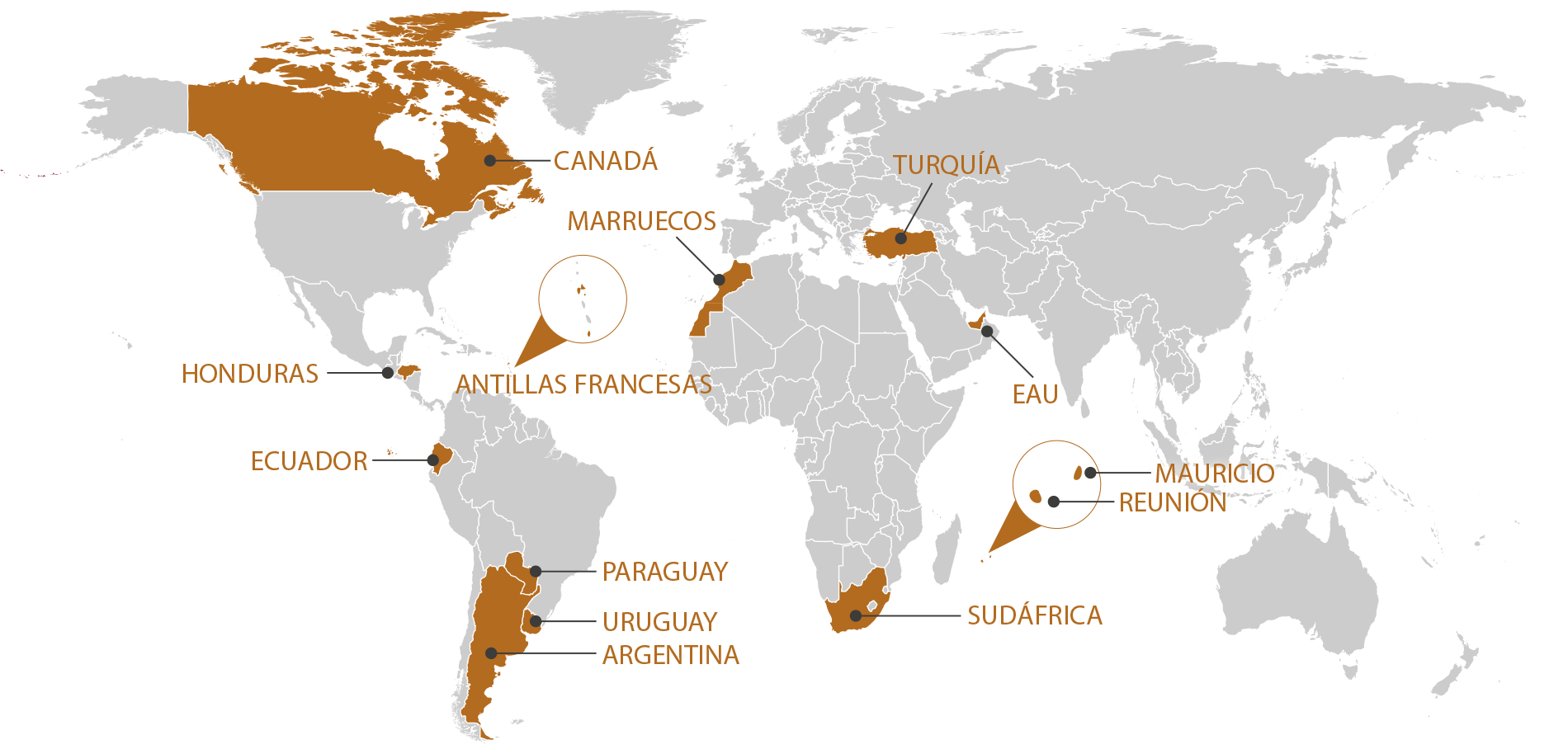 RGIS_FRANCHISE_WORLD_ES_1125. RGIS Franchise